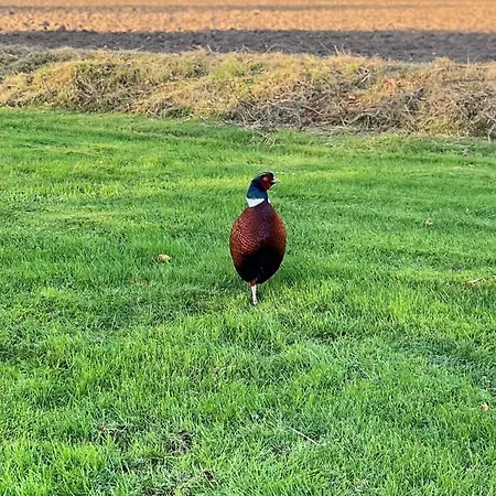 8 Person In Svendborg-by Traum Holiday home *